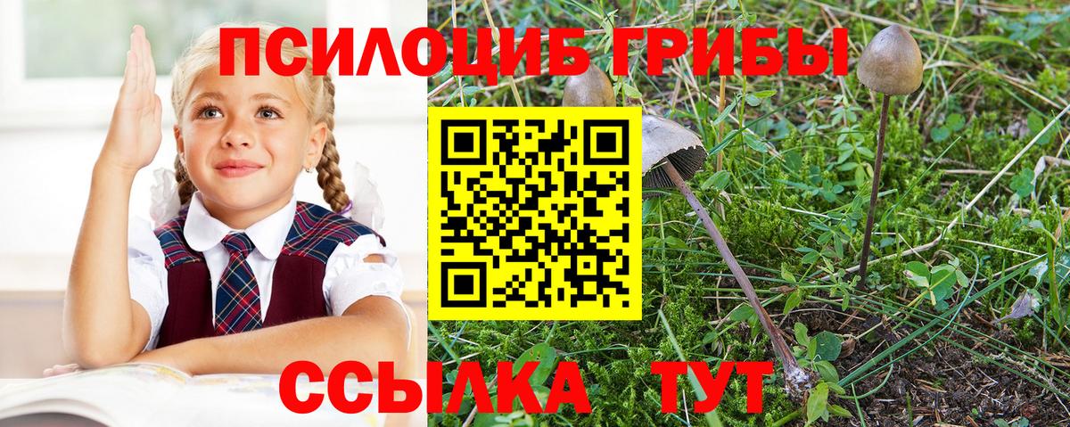 купить  цена  Псилоцибиновые грибы MAGIC MUSHROOMS  Галлюциногенные грибы прущие грибы  Вход с VPN  Белгород 